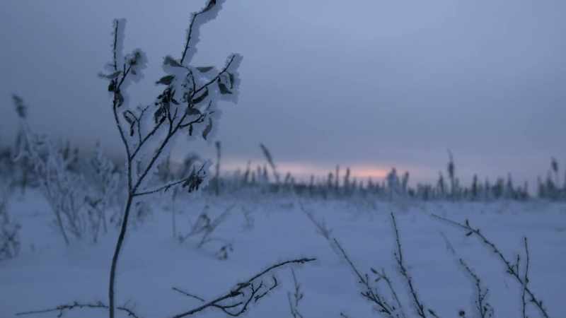 NARRATOR: With deep winter setting in at the Cosna