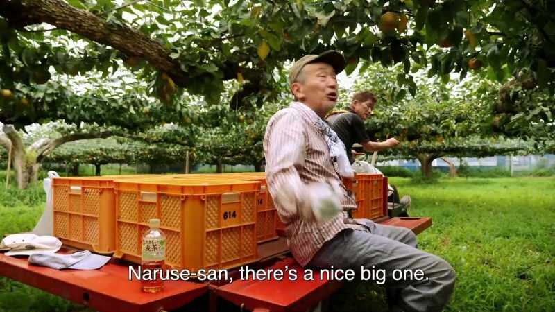 Naruse-san, tam jest duży