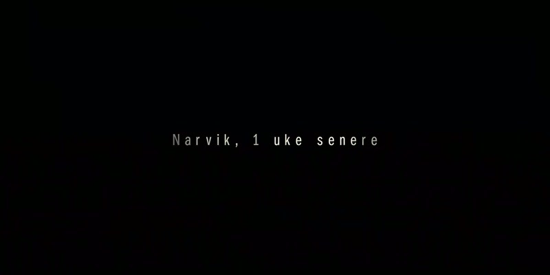 NARVIK, 1 WEEK LATER