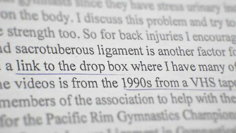 Nassar had shared links to some graphic videos