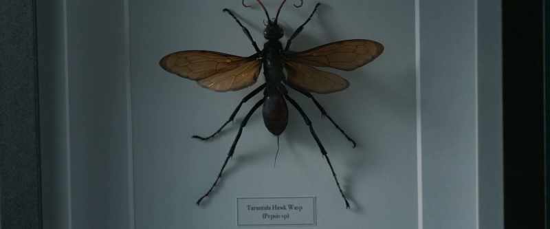 Nasty sting
