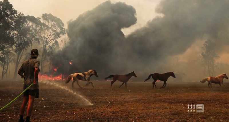 NATHAN BARNDEN: One guy, he works on horses