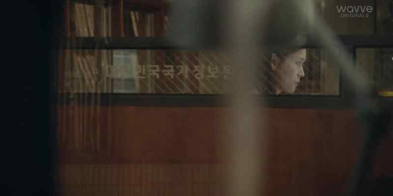 (National Intelligence Service Korea)