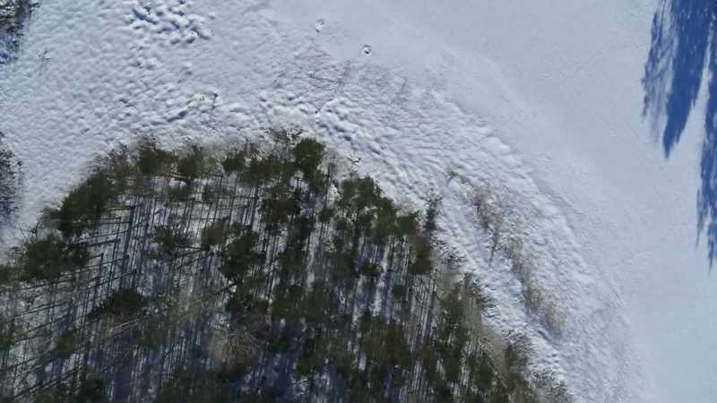 Nature times its rhythms to the freezing