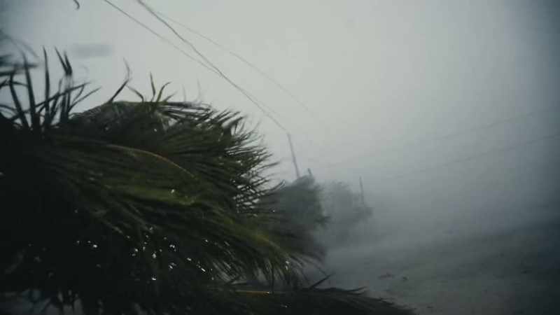 Nature's incredibly resilient. But there are limits
