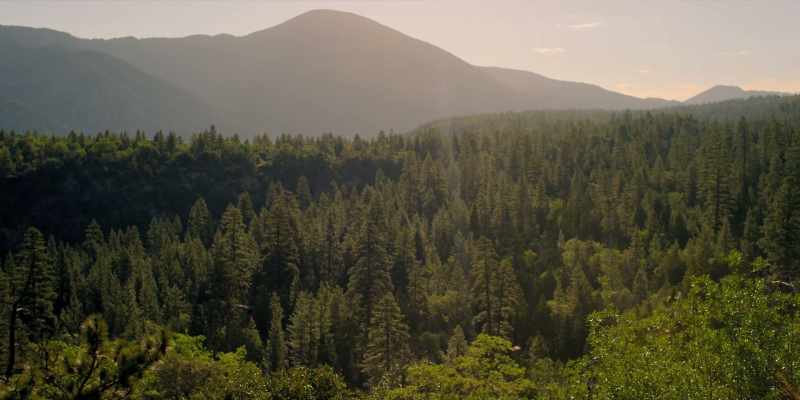Need to be at the growers' camp before sunset