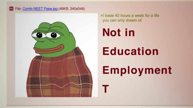 NEET stands for Not in Education Employment or Training