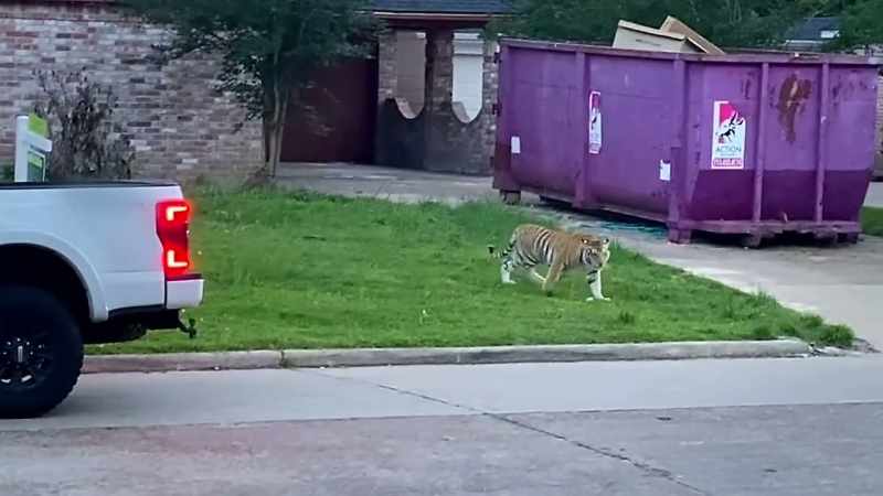 �Neighbors are feverishly messaging each other