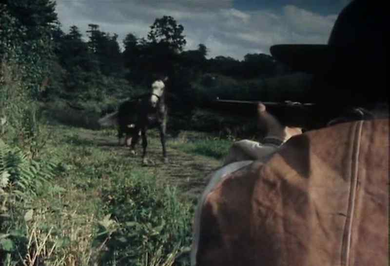 (Neighing)
