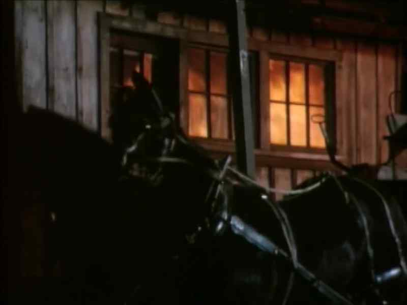 [Neighing]