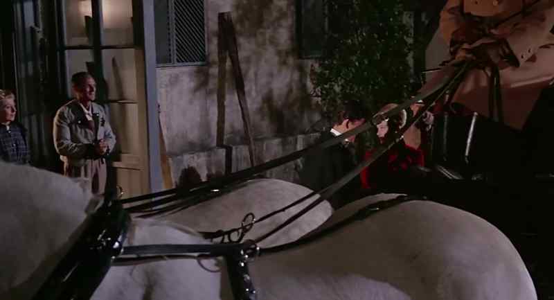 [ Neighing ]