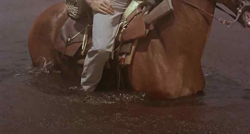 (NEIGHING)