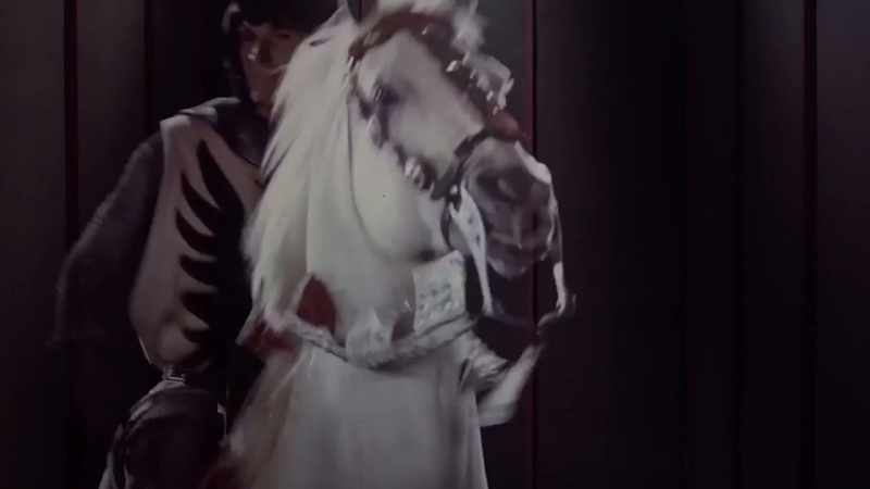[NEIGHING]