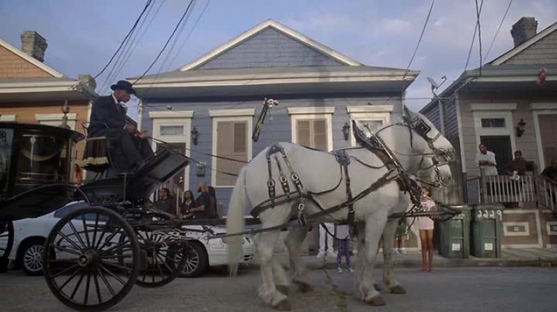 [NEIGHING]