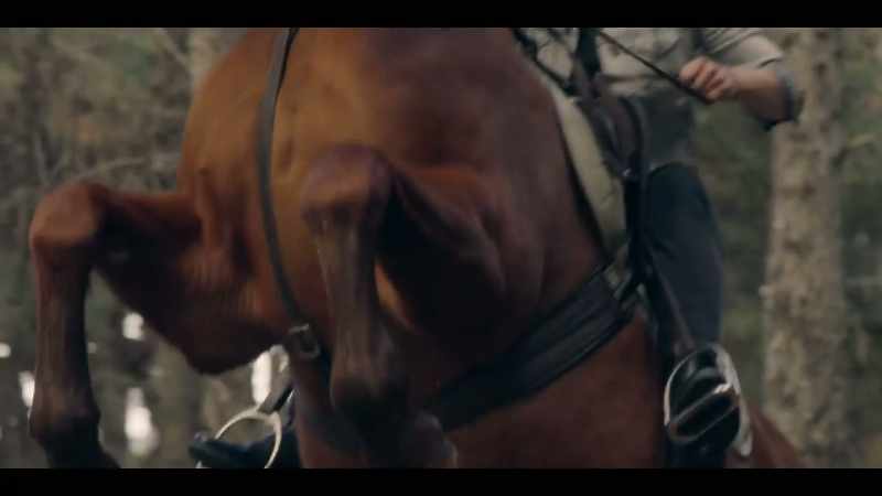 [NEIGHS] - [BARKS]
