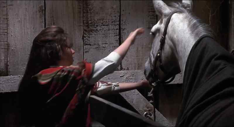 (neighs)