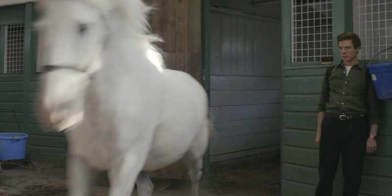 [neighs]