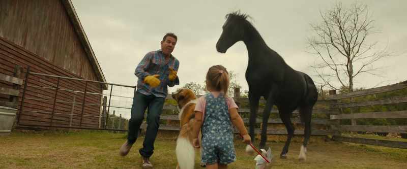 [neighs]