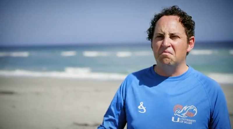 NEIL: Sharks are often thought of as, you know