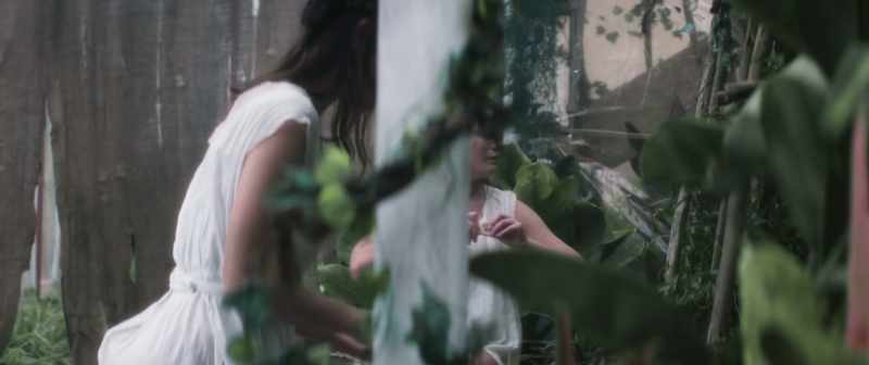 �� Never caught in summer or a farm ♪