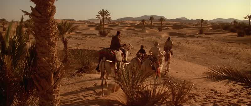Never did like camels