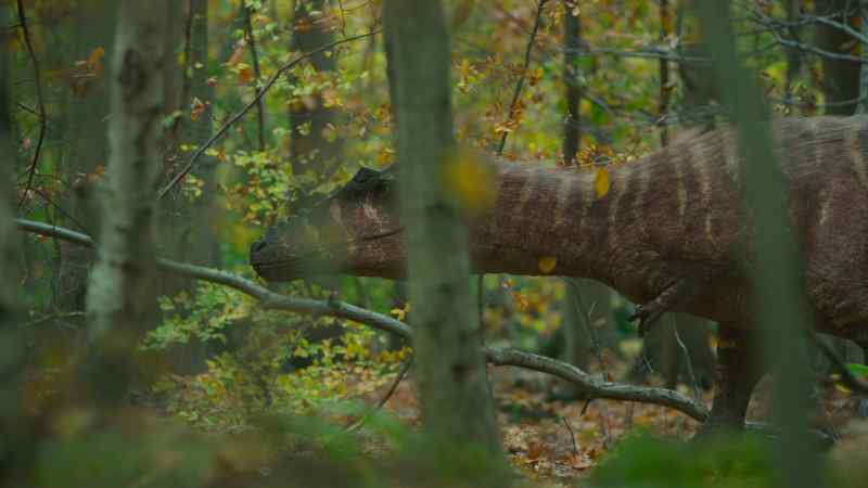 Nevertheless, a storm does create a brief opportunity for hunters