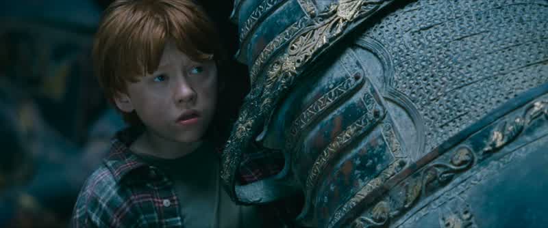 Neville I'm really really sorry about this Petrificus Totalus You're a little scary sometimes you know that Brilliant but scary