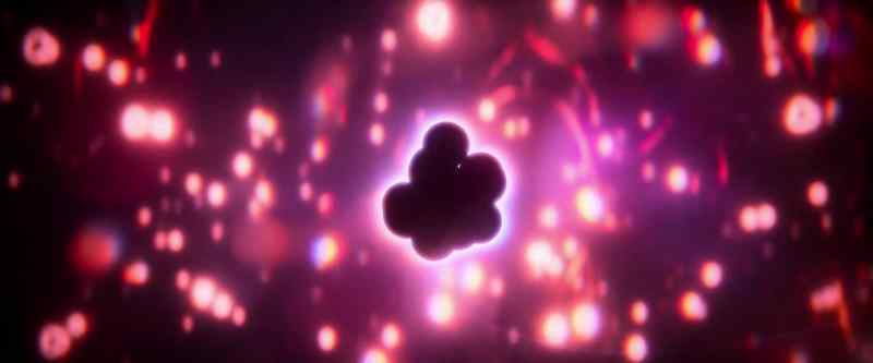 New cells divide and grow with remarkable speed and precision