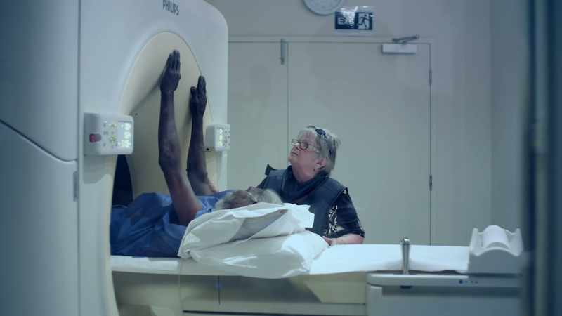 New therapy and radiation, new one they putting it