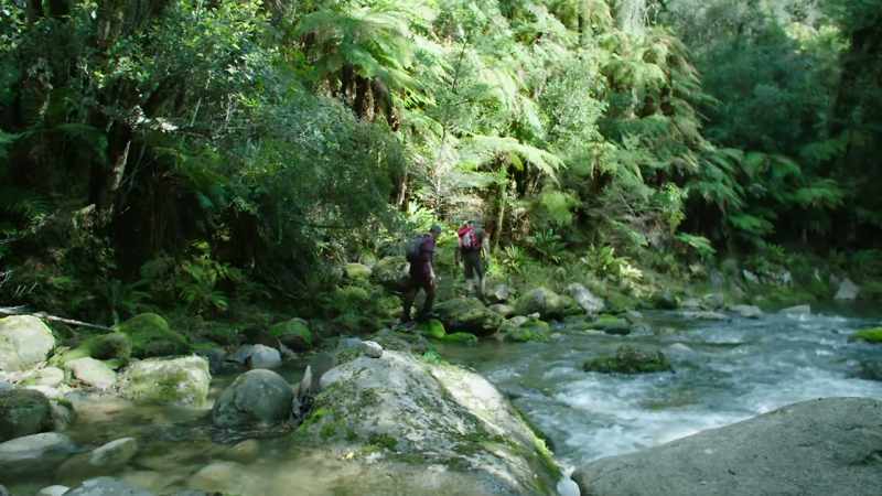 New Zealand's fossil record proves