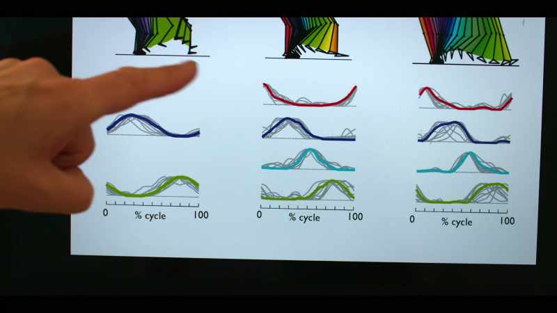 Newborn stepping is very simple