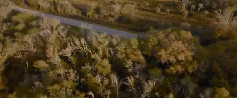 NEWSCASTER 1: Human remains found