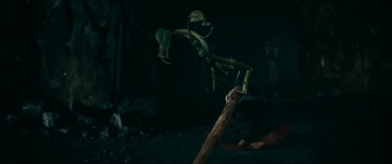 Newt! Accio! Grab the tie