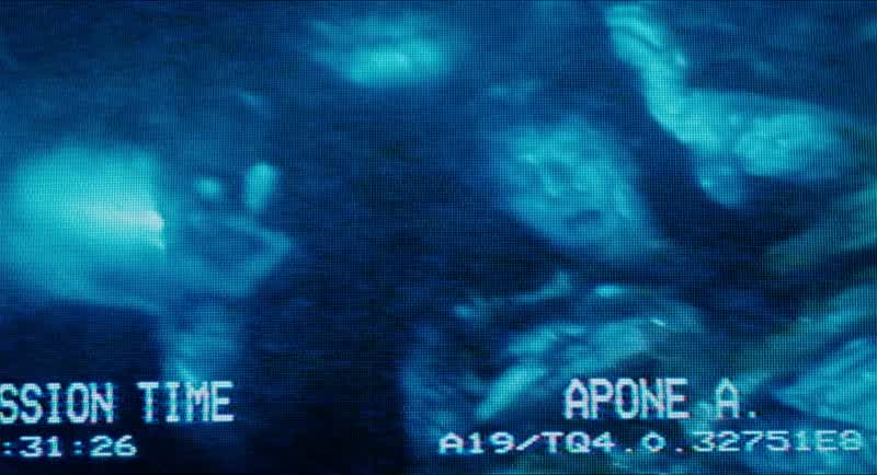 Newt, go sit up front