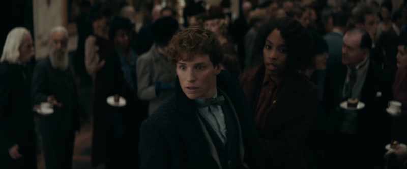 Newt, Newt. Not here