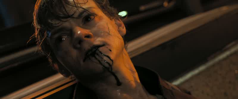 Newt? Newt? Hey! Hey! Newt! Hey! We're gonna try this. Okay? We gotta move, now. Let's get you up, c
