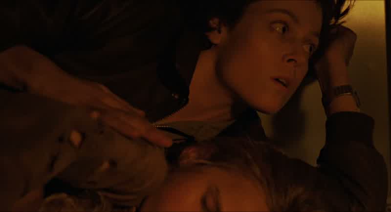 Newt, wake up