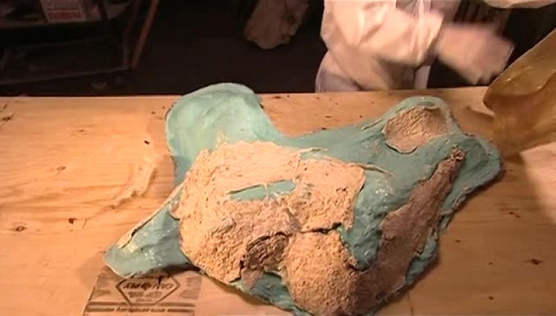 NEXT THEY FORM PART OF THE SKULL
