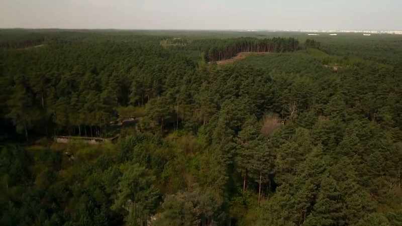 Ney: When hitler occupies poland