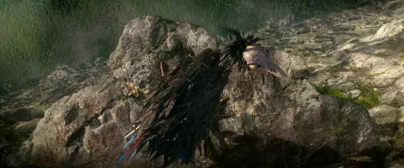 Nice birdie