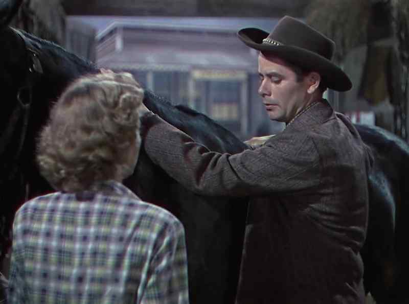 Nice horse you got here. - Yeah