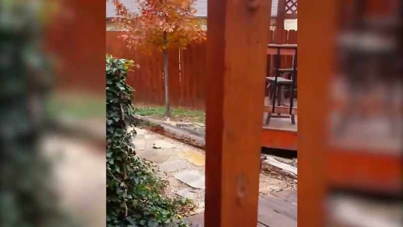 Nice little quiet backyard that we never really use ‐‐
