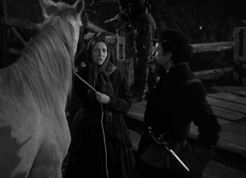 Nice-looking horse, lady. How much do you want for him?