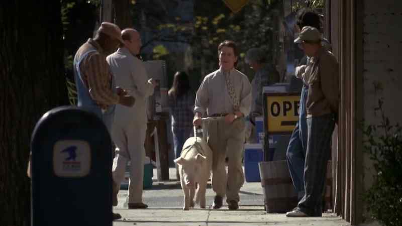 Nice pig there, doc. - Thank you