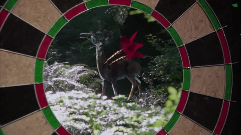 Nice shot, chief