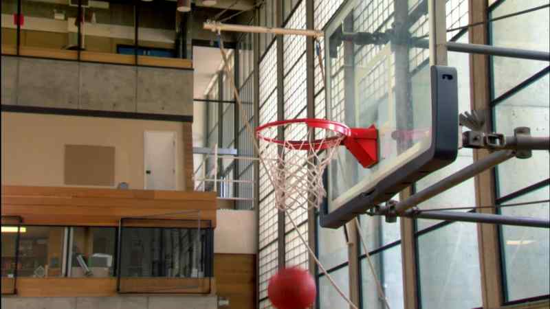 Nice shot