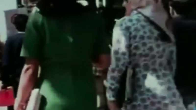 Nickzad went to Iran