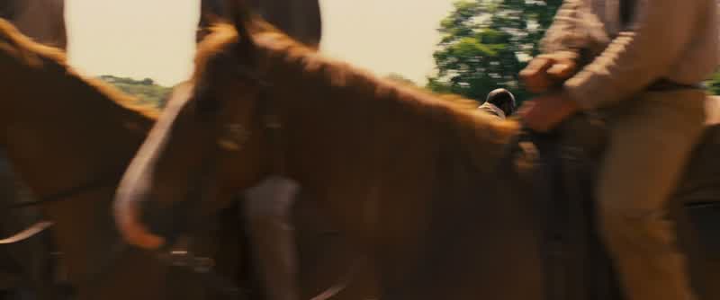 Niggers don't walk around here, niggers run