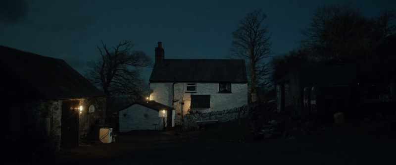 (night bird calls)