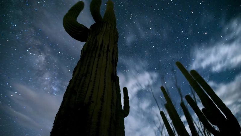 Nightfall brings relief from the heat